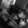 Avatar de Martial Maurette