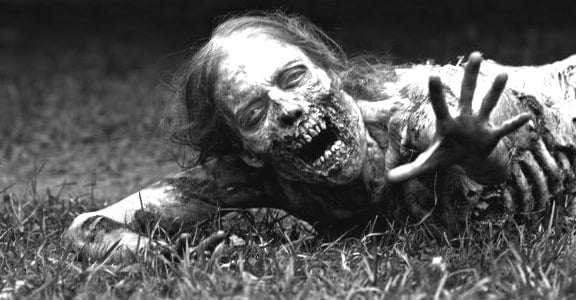 Walkingdeadblackandwhite - La photographie en mode invasion zombie - Thomas Hammoudi - Livres