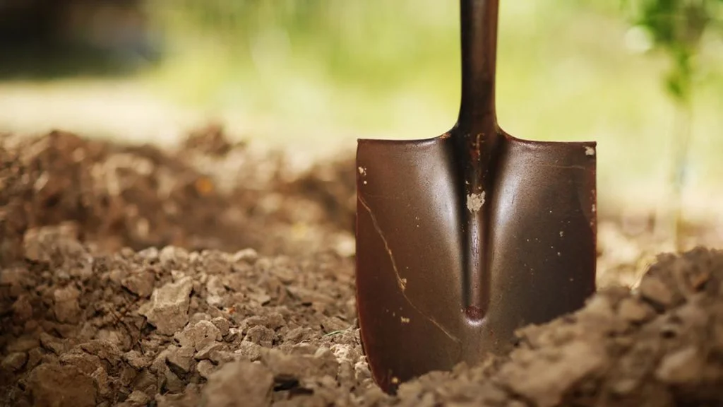 Shovel - C'est quoi être photographe ? (+ Invités) - Thomas Hammoudi - Piliers