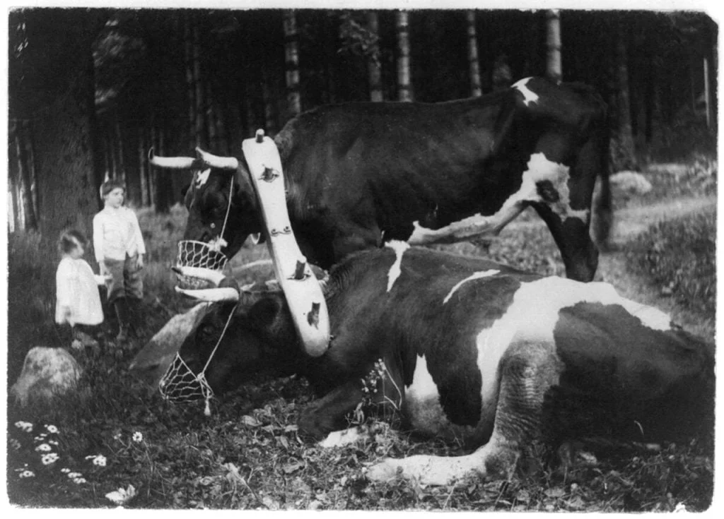 1280px gertrude kasebier yoked and muzzled - Qui a peur des femmes photographes ? - Thomas Hammoudi - Féminisme