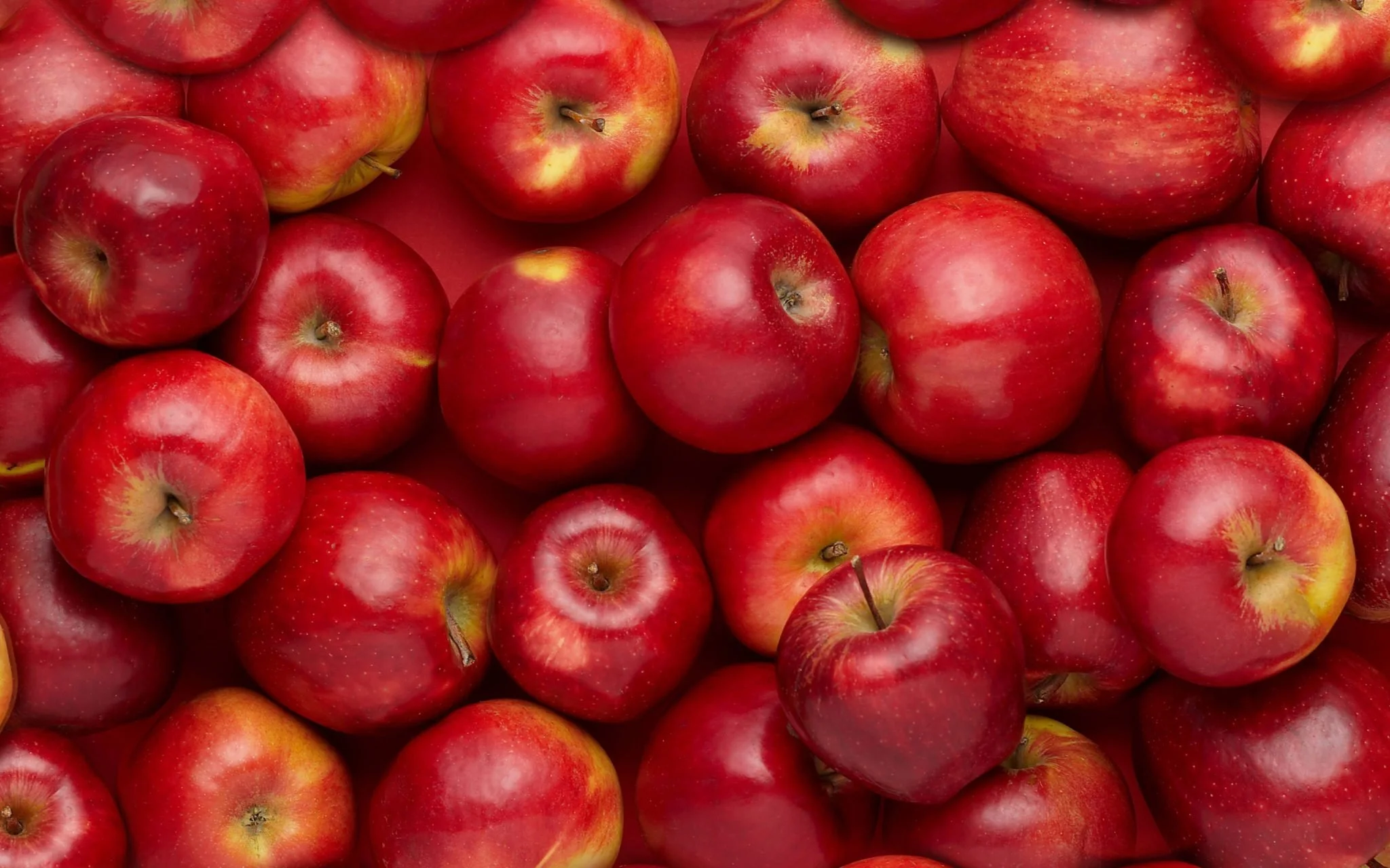 Apple fruit - Et si nous donnions à Louis Faurer la place qu'il mérite ? - Thomas Hammoudi - Fiches de lecture