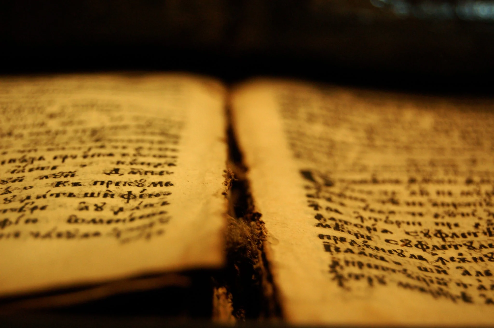Old bibles 1 - Et si nous donnions à Louis Faurer la place qu'il mérite ? - Thomas Hammoudi - Fiches de lecture
