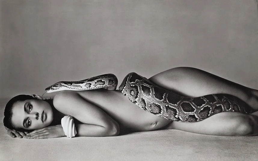 Richard avedon 3190007k - Comment retranscrire le monde en photographies ? - Thomas Hammoudi - Fiches de lecture