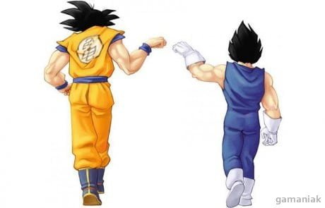 Gamaniak sangoku vegeta check - La question du portrait (avec Christophe Som) - Thomas Hammoudi - Pratique
