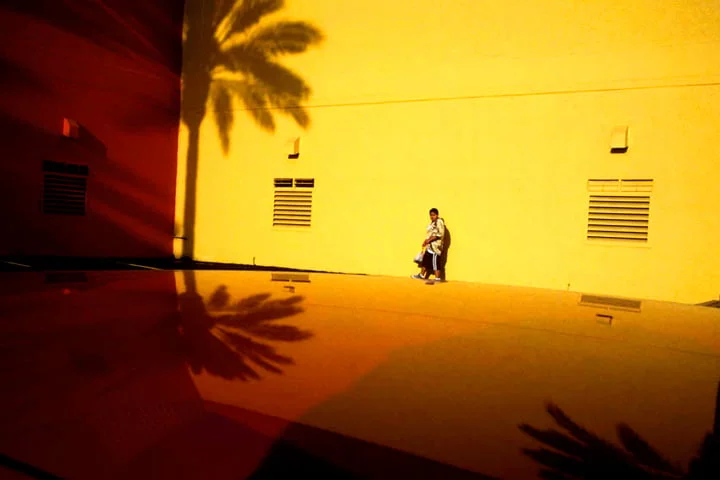 Manos3 - La photographie en mode invasion zombie - Thomas Hammoudi - Livres