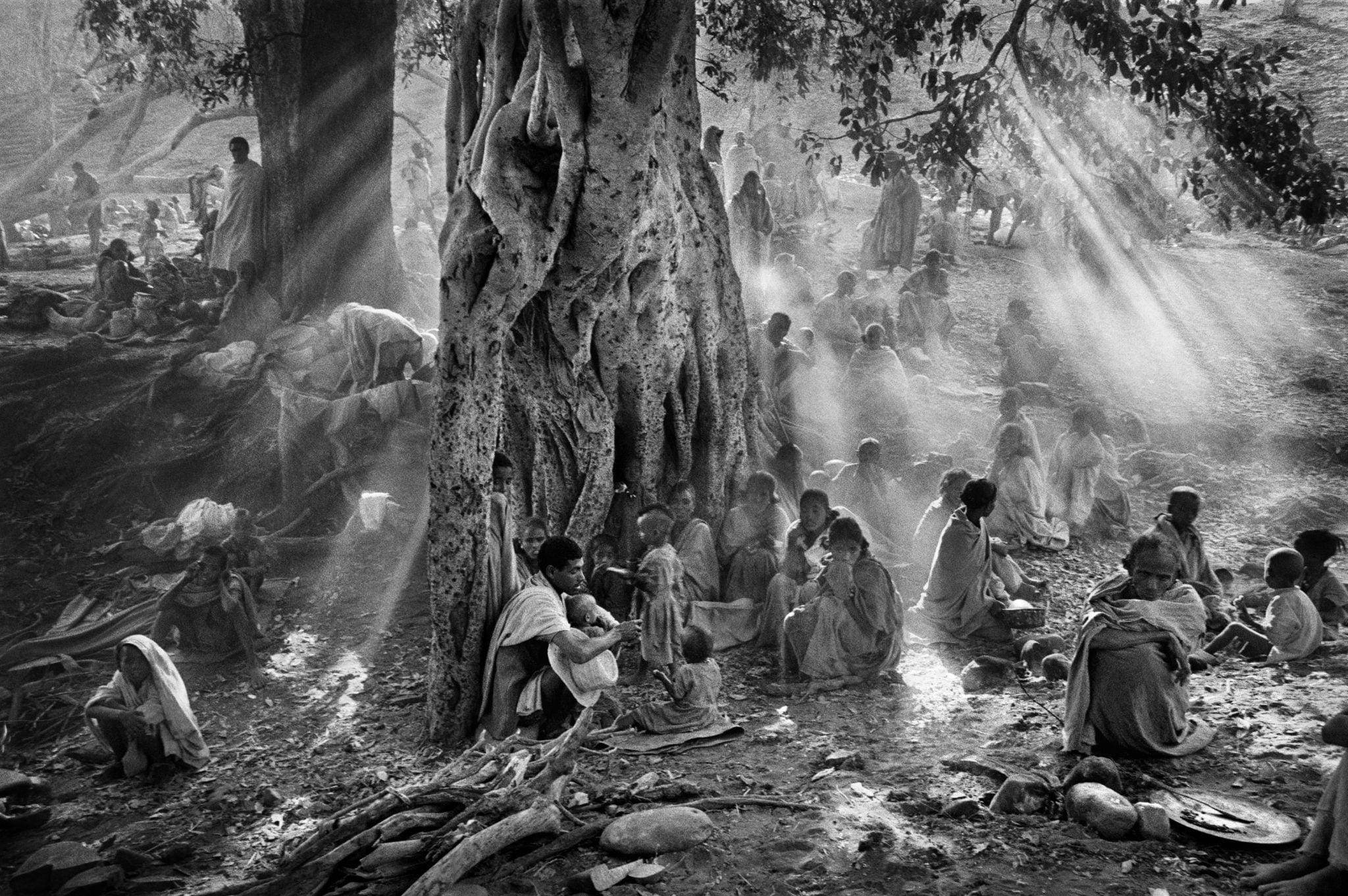 Sebastião Salgado, terrain