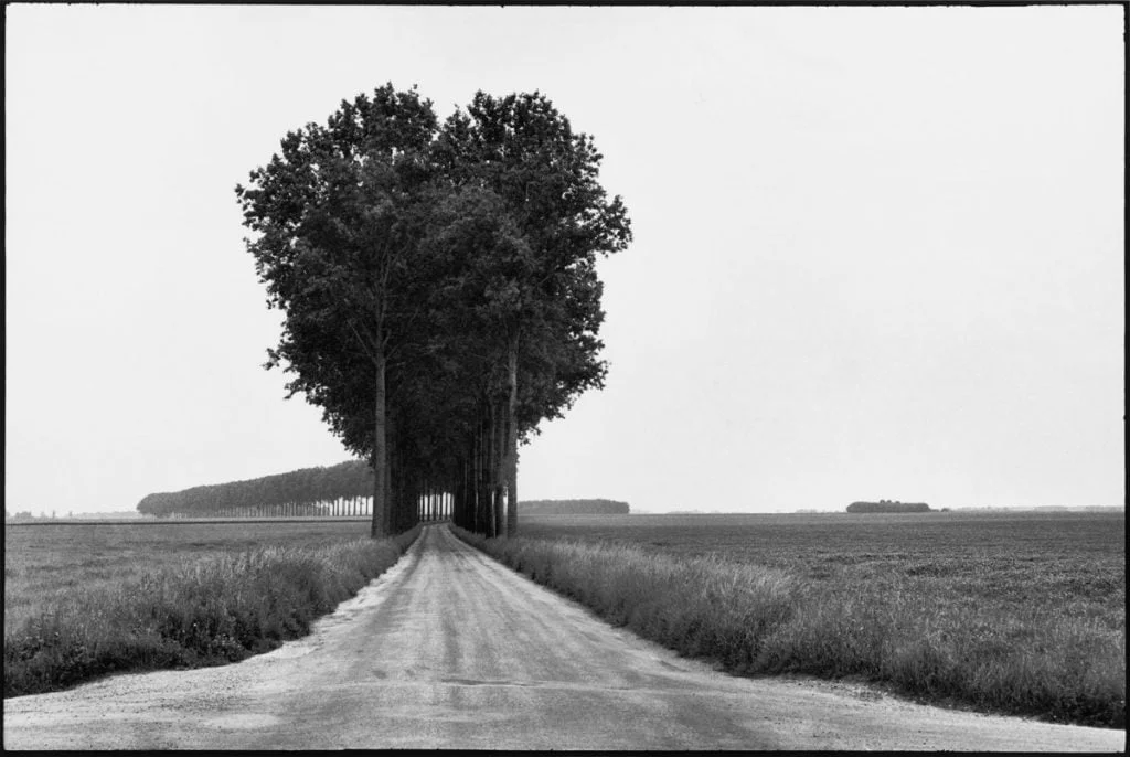 Par19082 web - 