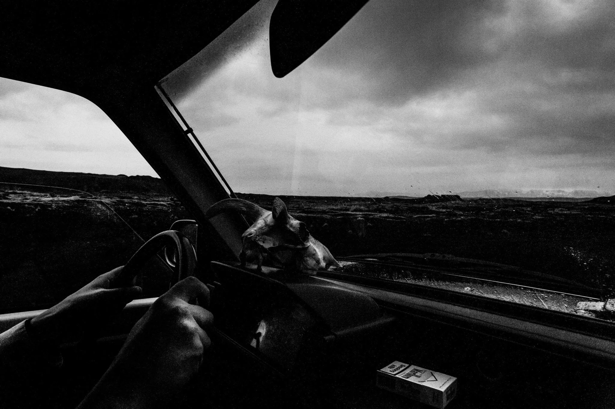 Sebastien van malleghem nordic noir 02 - Toute l'intransigeance du noir et blanc, en trois œuvres magistrales - Thomas Hammoudi - Fiches de lecture