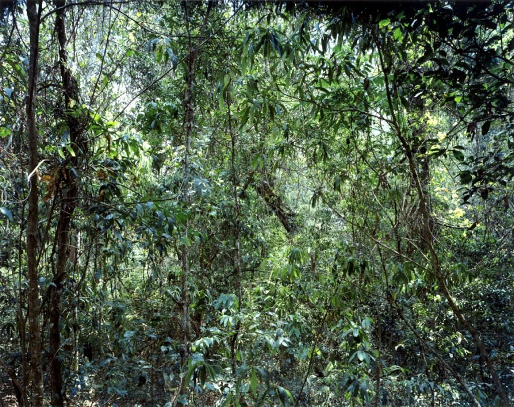 Tumblr mhs4flrhhn1qbhp9xo1 1280 - Comment retranscrire le monde en photographies ? - Thomas Hammoudi - Fiches de lecture