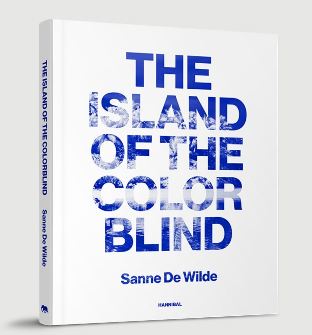 photoq-bookshop-sanne-de-wilde-island-of-the-color-blind-cover