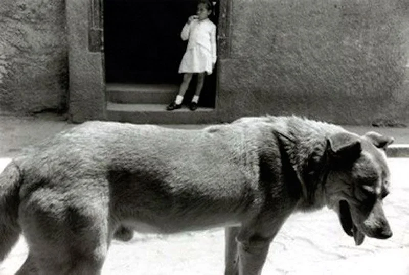 Sergio-Larrain-Photographie-Valparaiso_10
