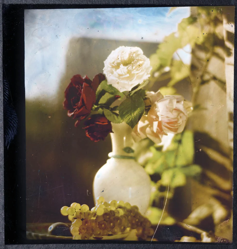 Lippmann_NatureMorte_1891-99__Collection_Musee_de_l_Elysee-3