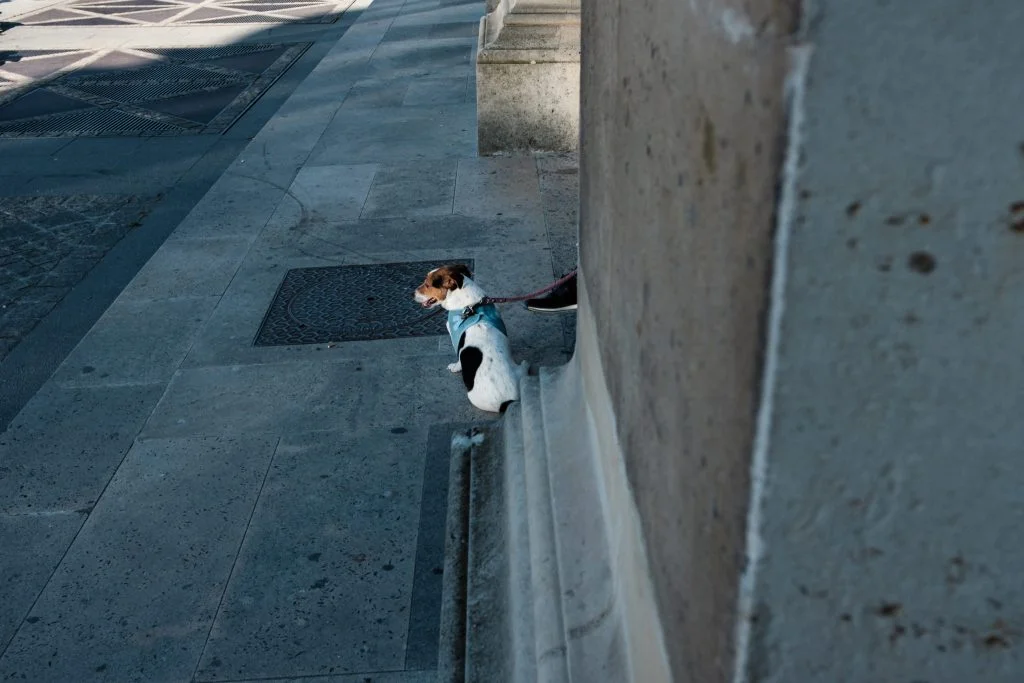 Thomas hammoudi adieuparis street photography 02 -  - Thomas Hammoudi