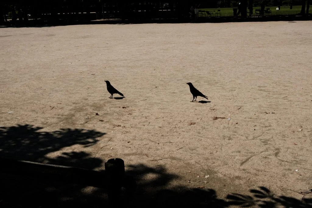 Thomas hammoudi adieuparis street photography 06 -  - Thomas Hammoudi