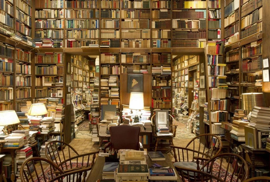 Library books wallpaper - La culture tue-t-elle votre photographie ? - Thomas Hammoudi - Livres