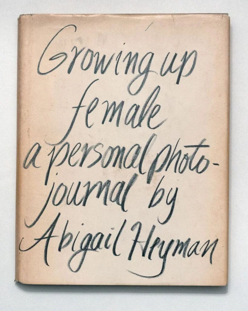 Abigail heyman - 5 livres à lire cette année (2019) - Thomas Hammoudi - 5 livres