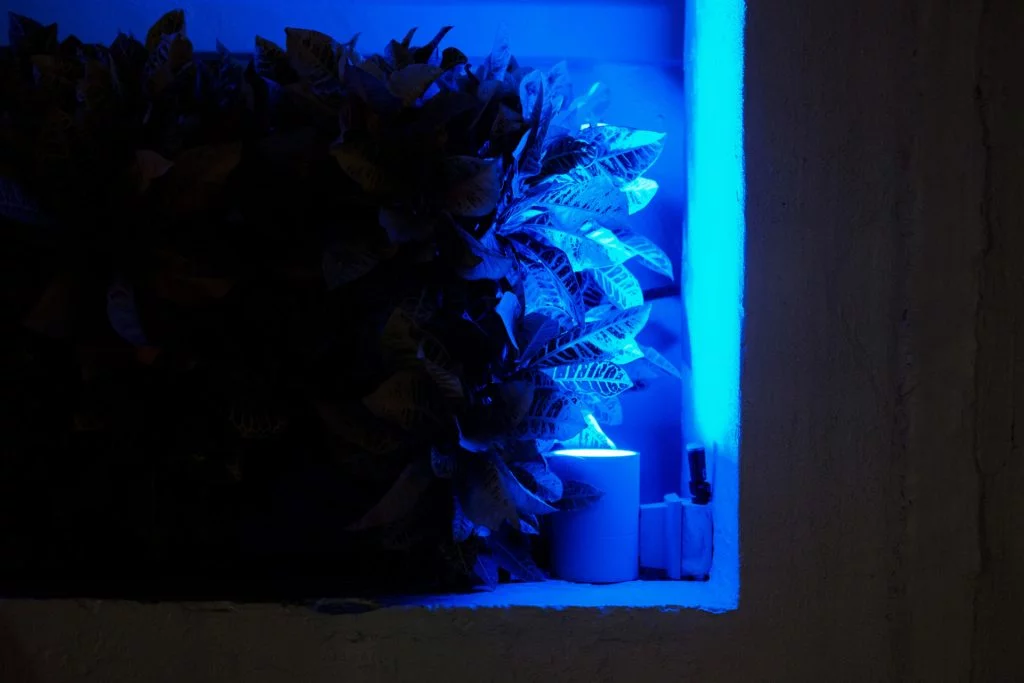 Thomas hammoudi photographie incolors 12 - InColors - Thomas Hammoudi