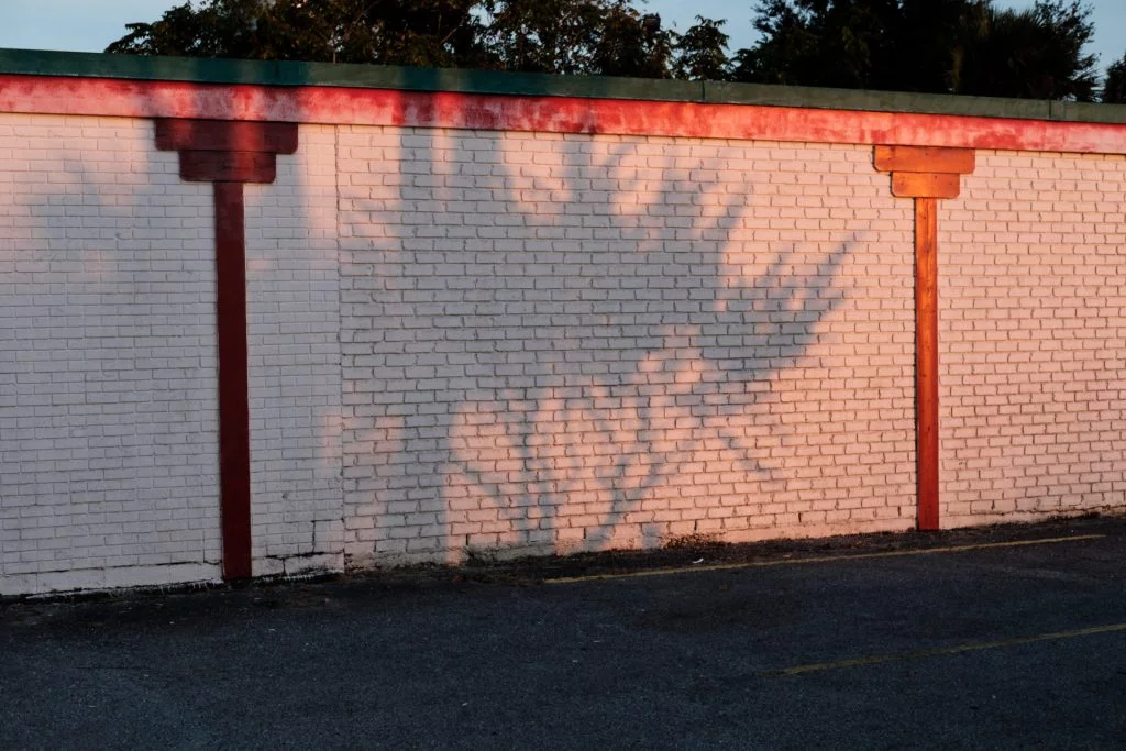 Thomas hammoudi photographie incolors 14 - InColors - Thomas Hammoudi