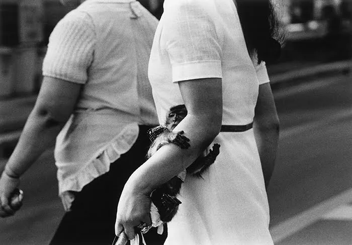 Kanuma tochigi 1973 © suda issei works chose commune - 5 livres à lire cette année (2020) - Thomas Hammoudi - 5 livres