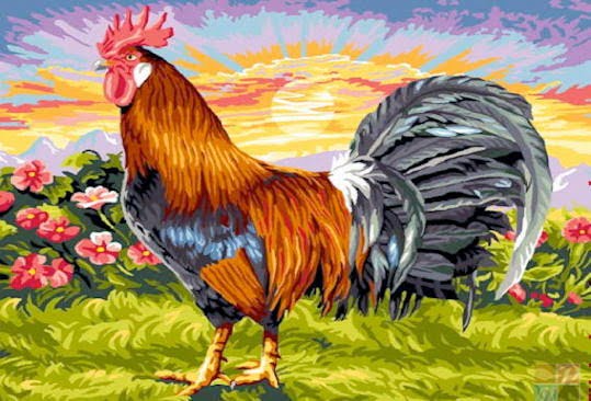 Le symbolisme du coq - Et si nous donnions à Louis Faurer la place qu'il mérite ? - Thomas Hammoudi - Fiches de lecture