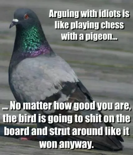 Arguing with idiots is like playing chess with a pigeon - Comment détester malin - Reloaded - Thomas Hammoudi - Internet