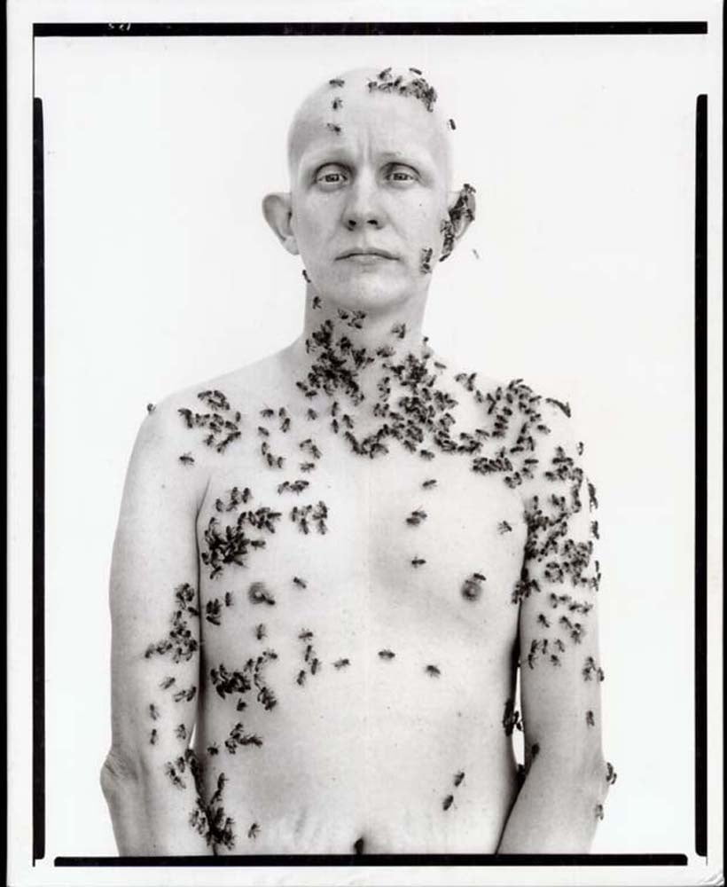 Avedon beekeeper - La question du portrait (avec Christophe Som) - Thomas Hammoudi - Pratique