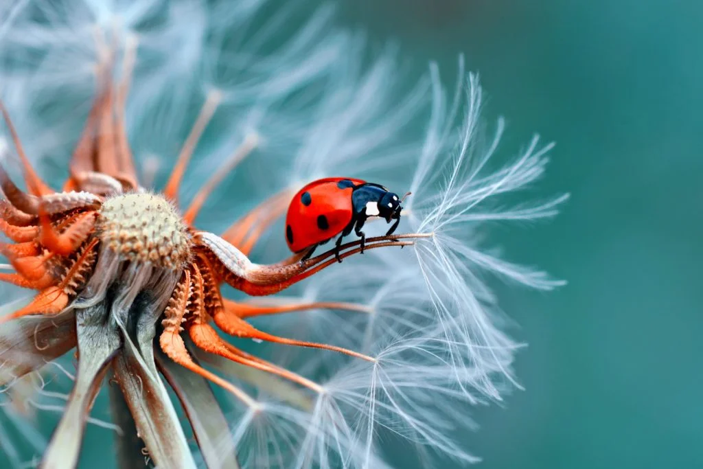 Macro cover 1500x1000 1 - Comment détester malin : tous nos conseils et astuces - Thomas Hammoudi - Pratique