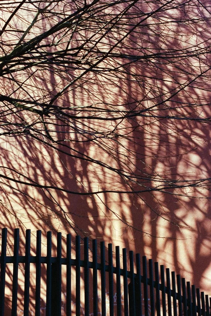 Thomas hammoudi photographie incolors lot6 6 - InColors - Thomas Hammoudi