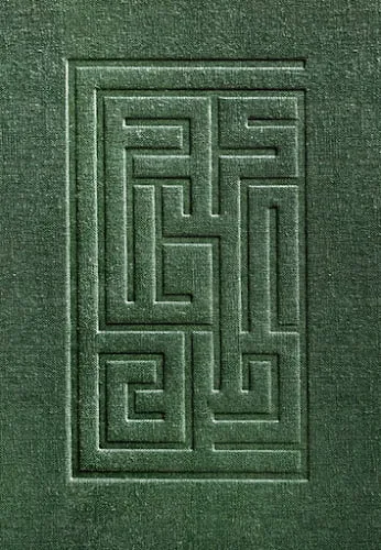 Back to nowhere - De la rue, des fleurs et du flash - Thomas Hammoudi - Livres