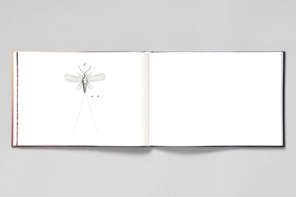 97564 1700x1700 - 5 livres à lire cette année (2021) - Thomas Hammoudi - 5 livres