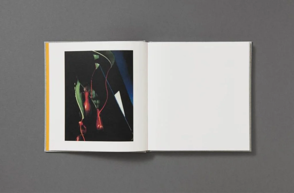 Jack davison photographs 10 1080x1080 - 5 livres à lire cette année (2021) - Thomas Hammoudi - 5 livres