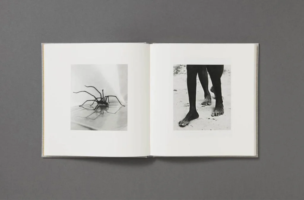 Jack davison photographs 15 1080x1080 - 5 livres à lire cette année (2021) - Thomas Hammoudi - 5 livres