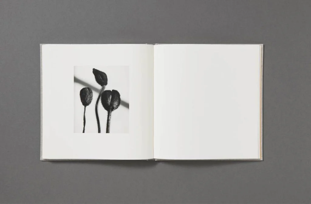 Jack davison photographs 17 1080x1080 - 5 livres à lire cette année (2021) - Thomas Hammoudi - 5 livres