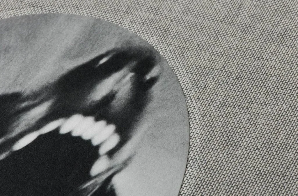 Jack davison photographs 19 1080x1080 - 5 livres à lire cette année (2021) - Thomas Hammoudi - 5 livres