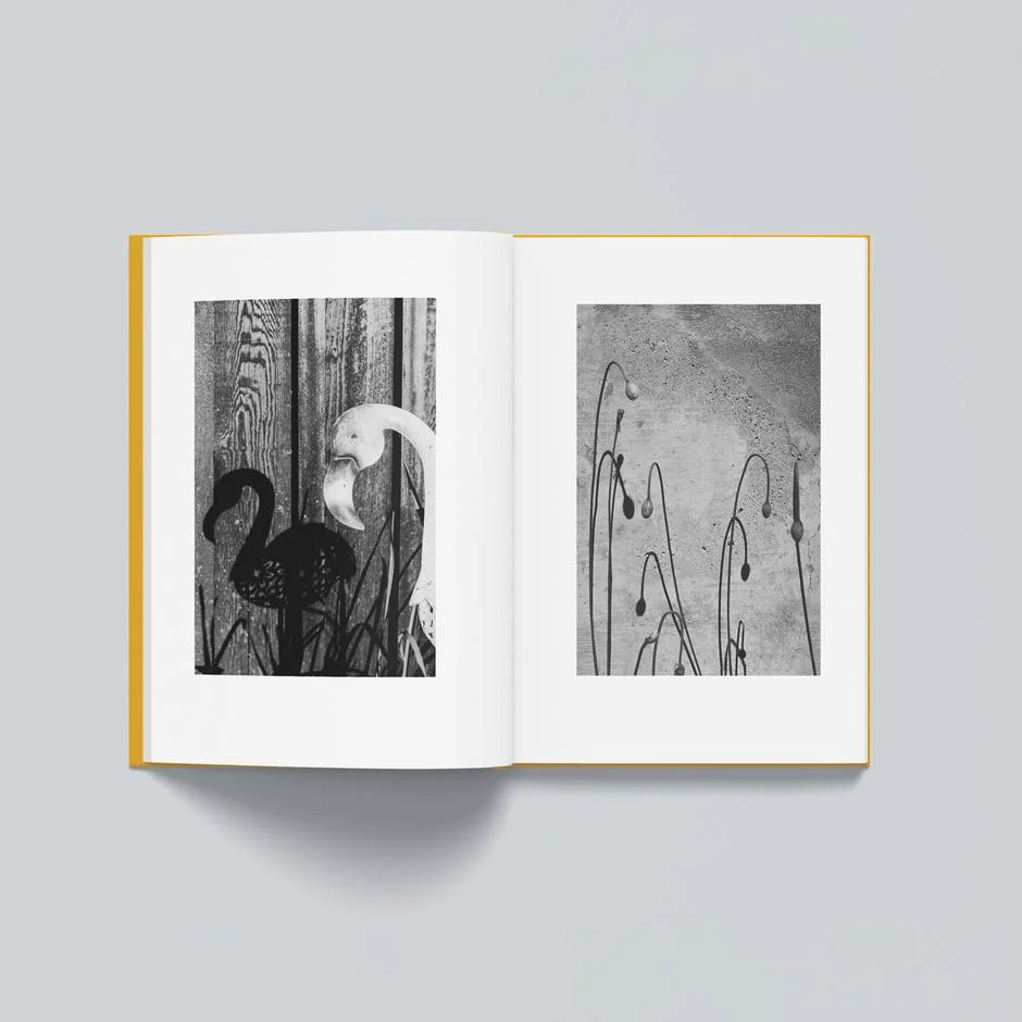 Wesley verhoeve notice spread alt 2048px square 940x - 5 livres à lire cette année (2021) - Thomas Hammoudi - 5 livres