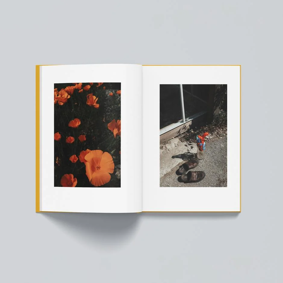 Wesley verhoeve notice spread colour poppies 2048px square 940x - 5 livres à lire cette année (2021) - Thomas Hammoudi - 5 livres