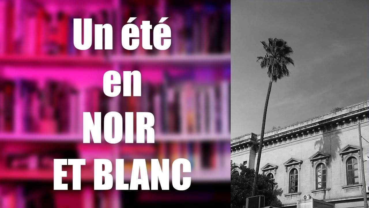 Un été en noir et blanc