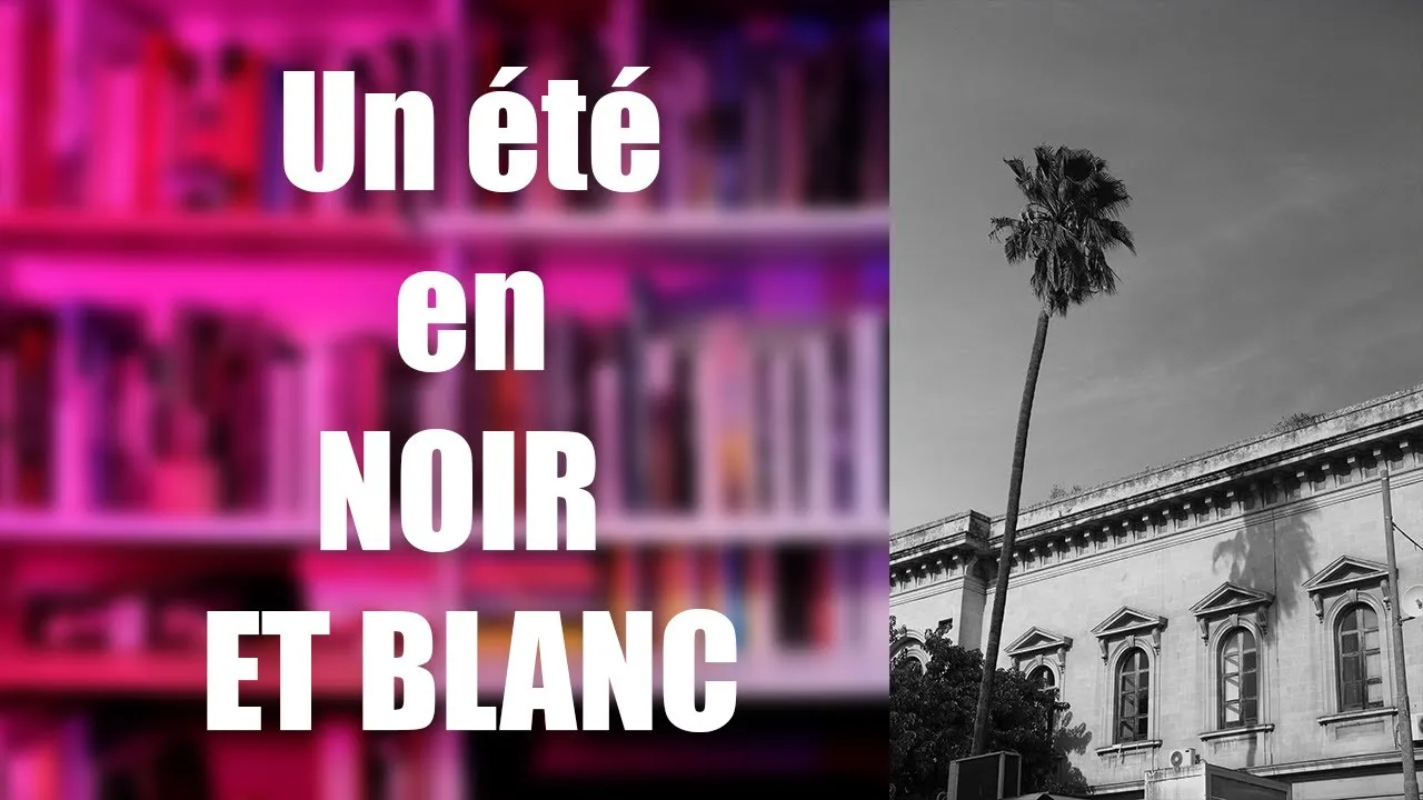 Un été en noir et blanc