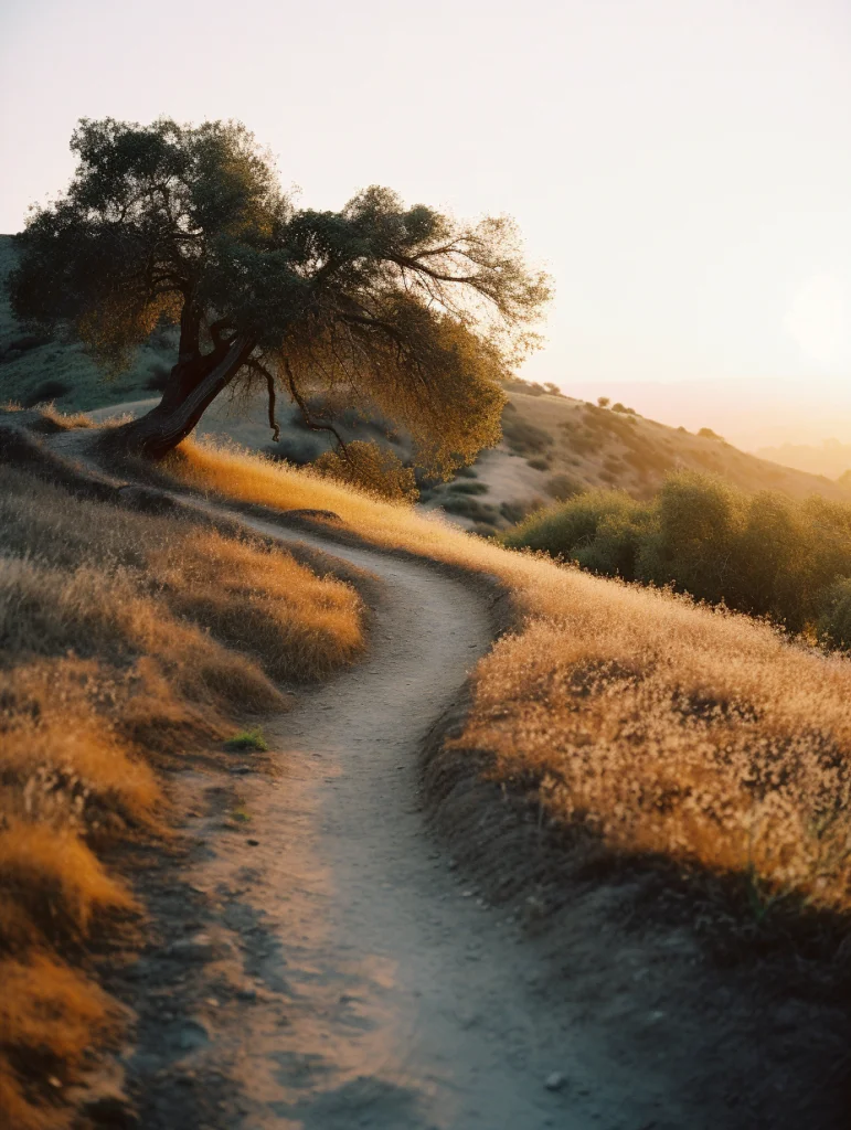 Chemin - L'intelligence artificielle va-t-elle tuer la photographie ? - Thomas Hammoudi - Histoire