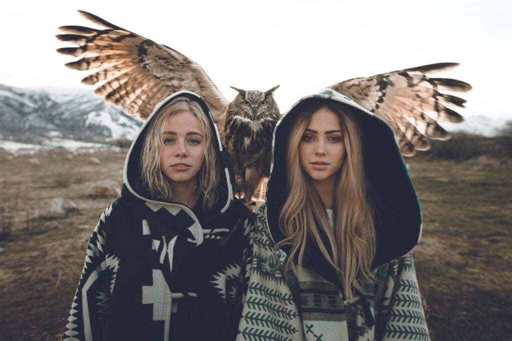Stock photo sunset bird watching in utah 203297713 - Aux origines de nos guerres - Thomas Hammoudi - Livres
