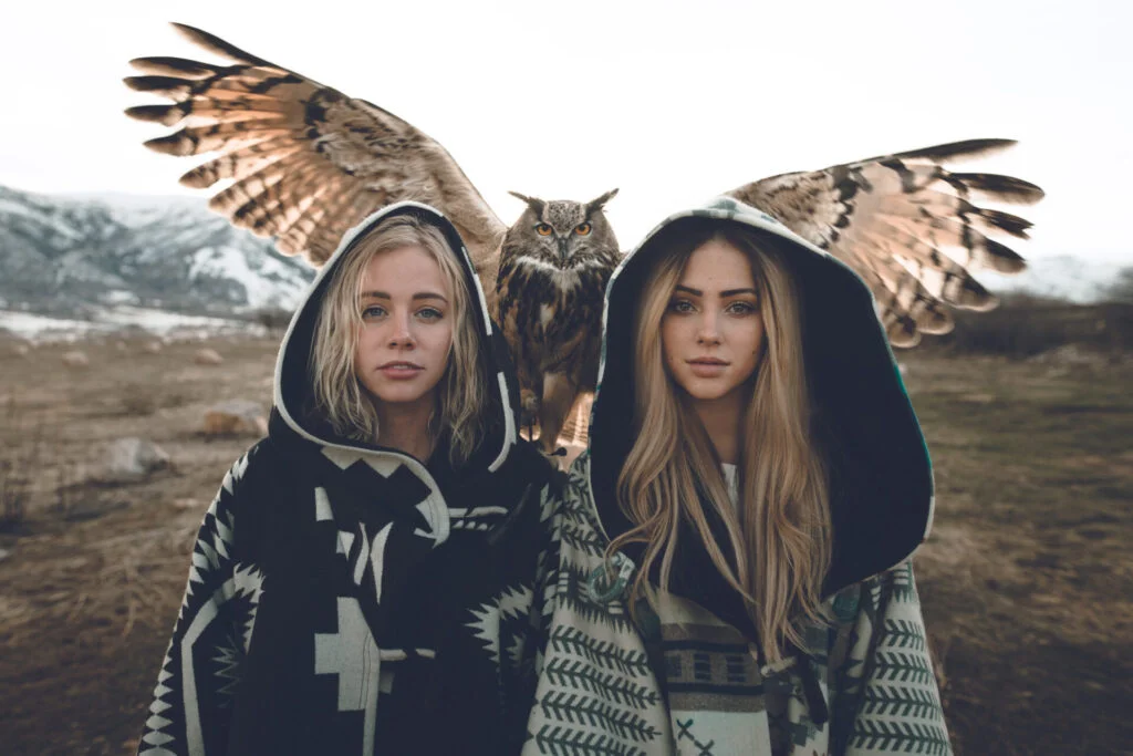 Stock photo sunset bird watching in utah 203297713 - Aux origines de nos guerres - Thomas Hammoudi - Livres