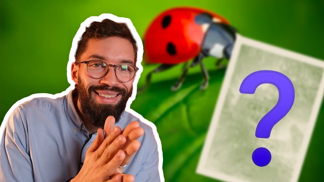 Mon (nouvel) avis sur la MACRO, 8 ans après