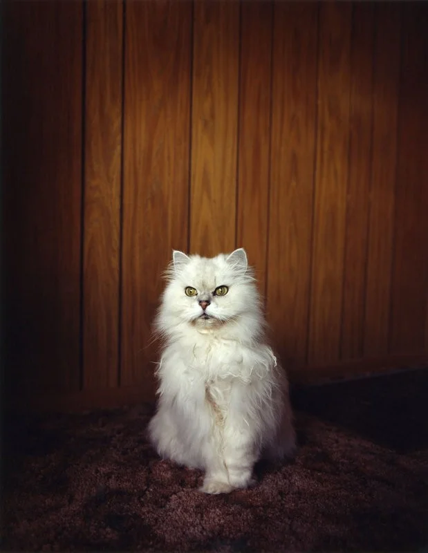 Image 33 - Une flopée de conseils sur la photographie par Todd Hido - Thomas Hammoudi