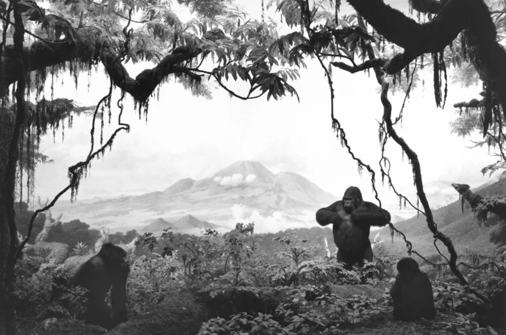Image - Hiroshi Sugimoto - Thomas Hammoudi - Grands photographes