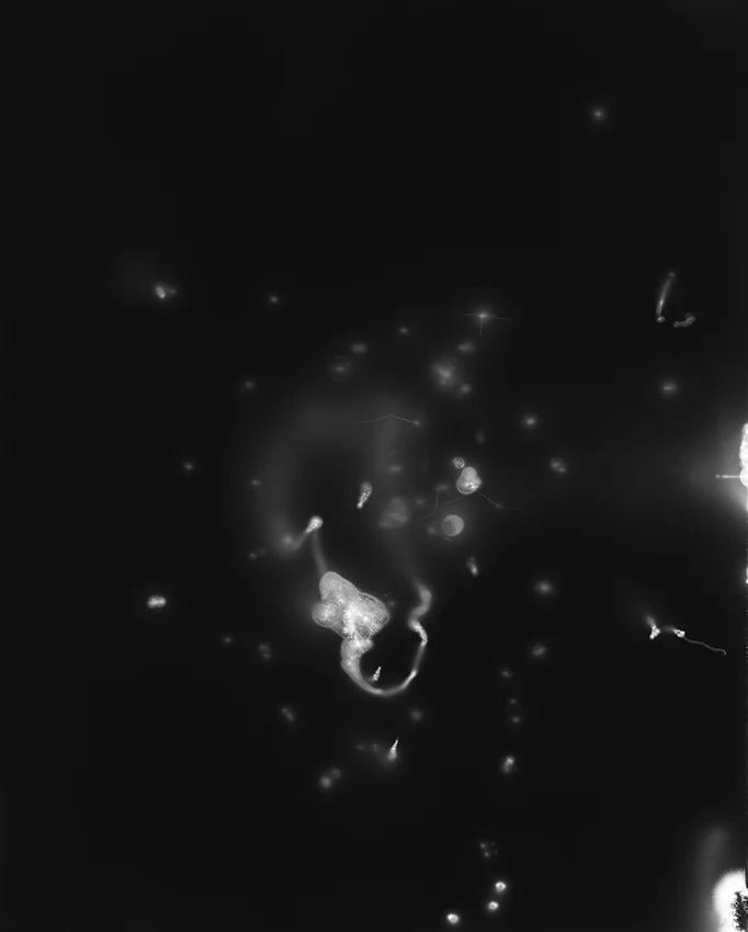 Image - Hiroshi Sugimoto - Thomas Hammoudi - Grands photographes