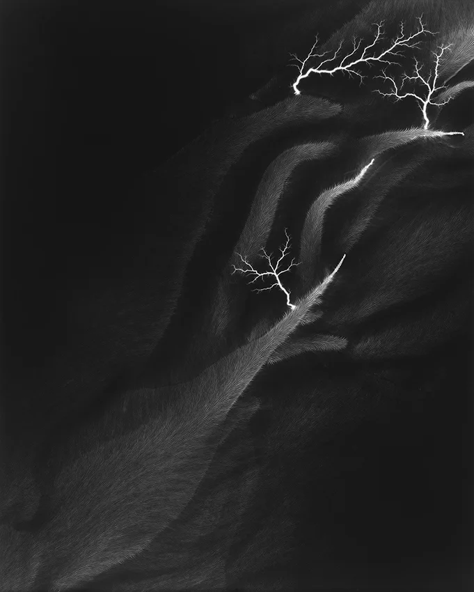 Image - Hiroshi Sugimoto - Thomas Hammoudi - Grands photographes