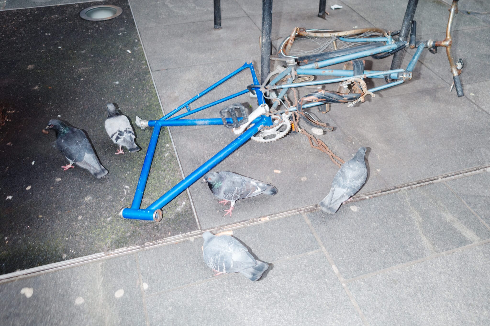 Thomas hammoudi londres 4 010487 -  - Thomas Hammoudi