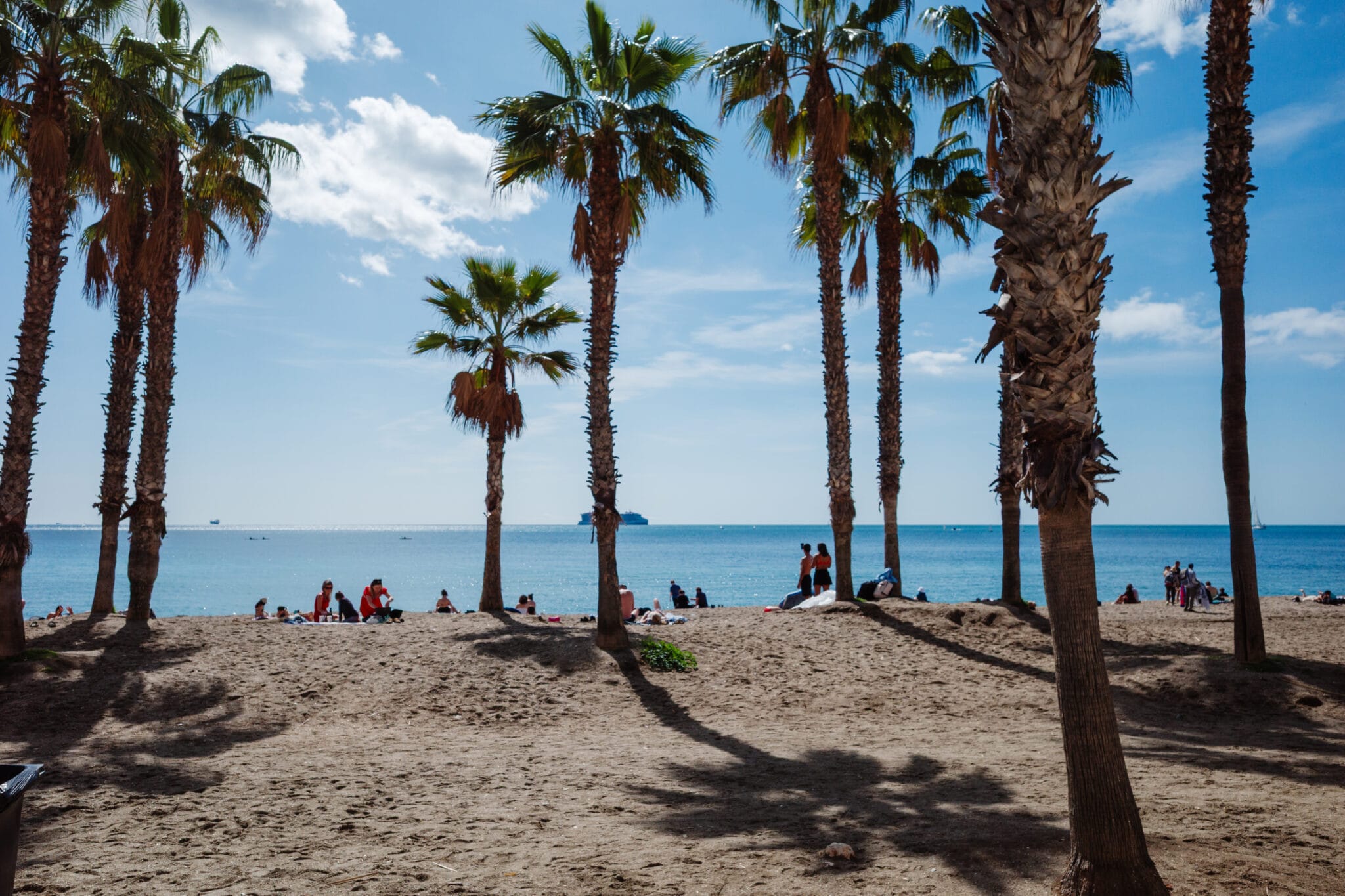 2 thomas hammoudi andalousie street 011555 - Andalousie - Thomas Hammoudi