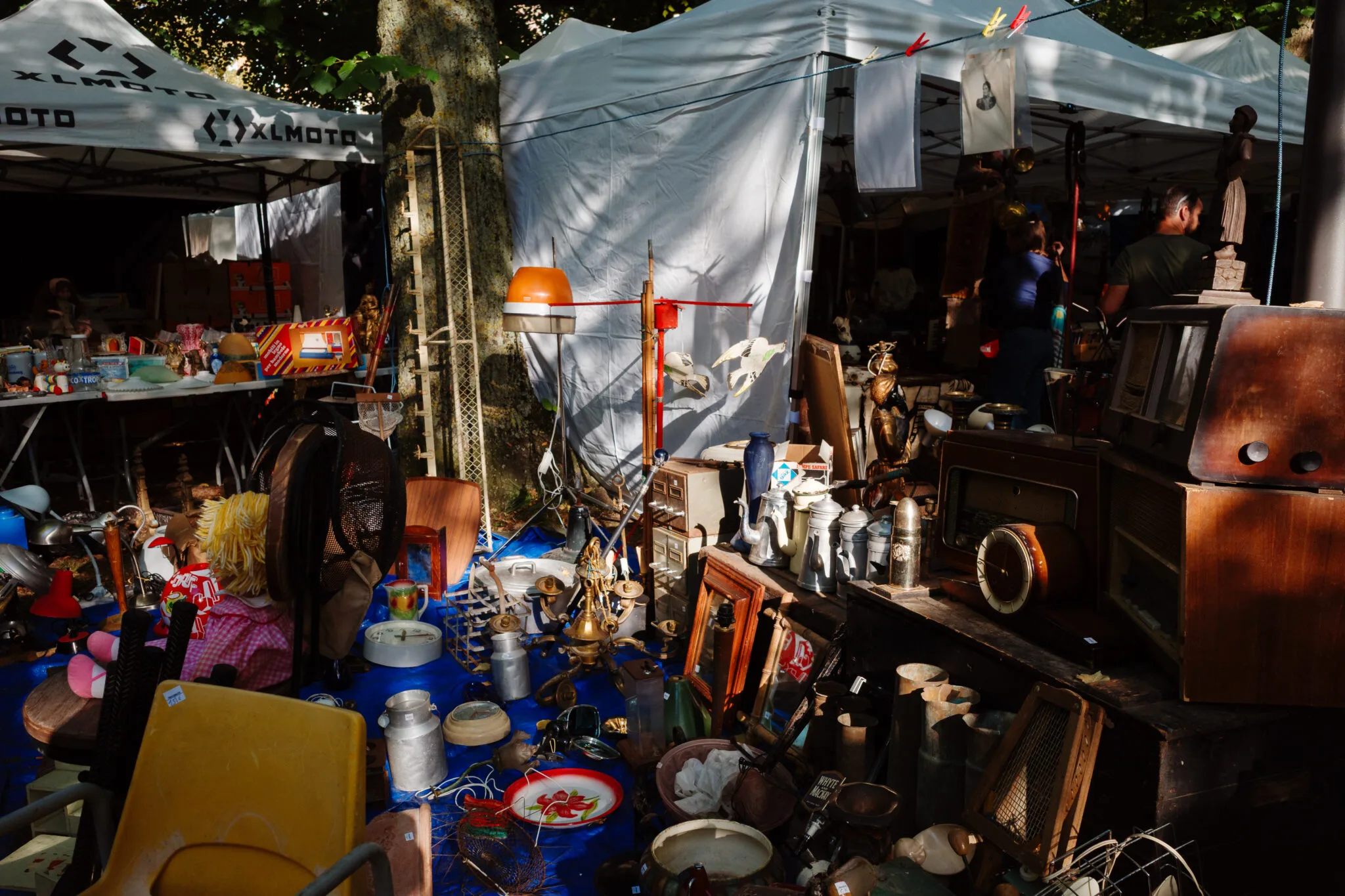 Thomas hammoudi photographie braderie v1 oct2025 013405 - - Thomas Hammoudi
