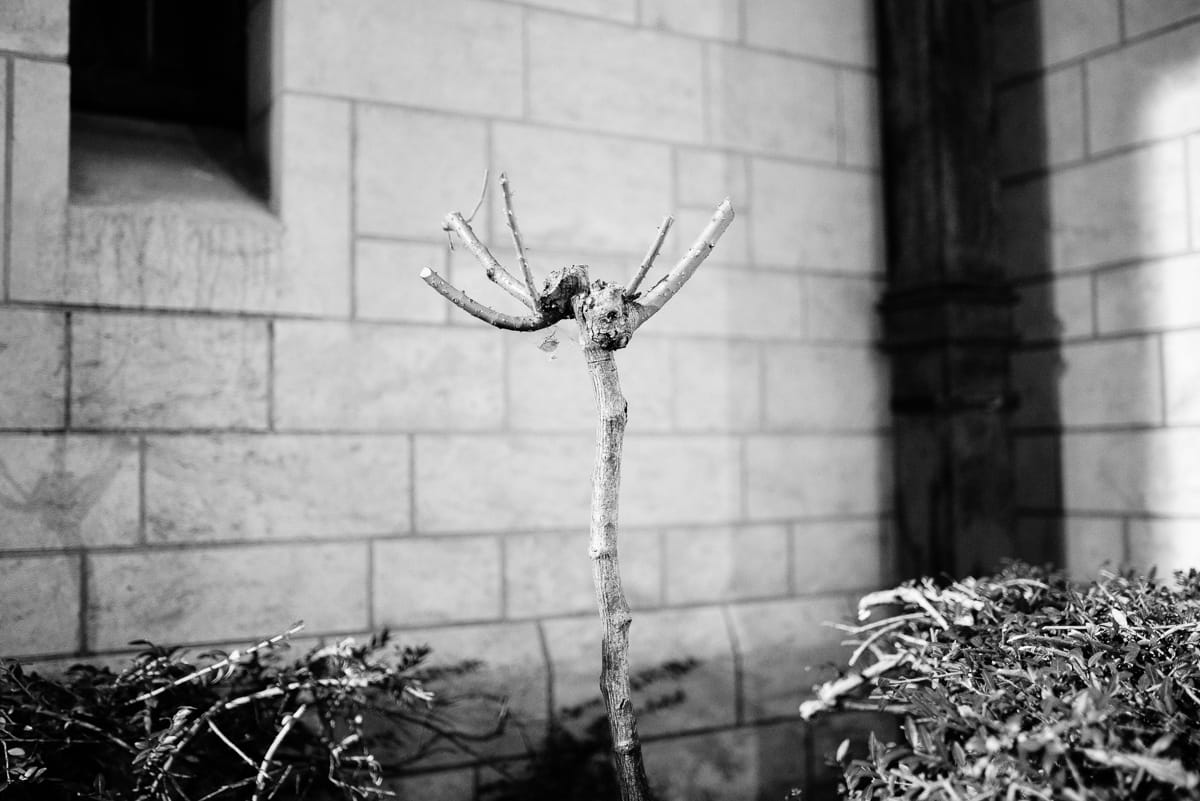 Thomas hammoudi photographie bxl nb 1965 -  - Thomas Hammoudi